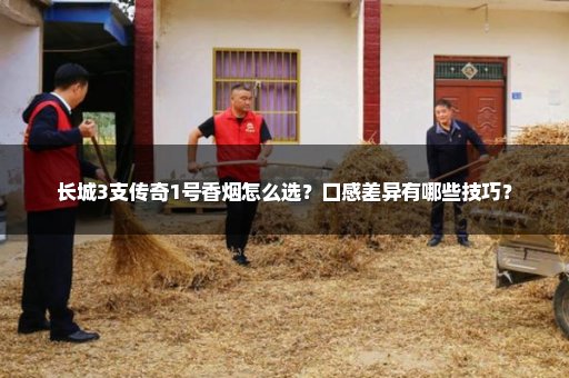 长城3支传奇1号香烟怎么选？口感差异有哪些技巧？